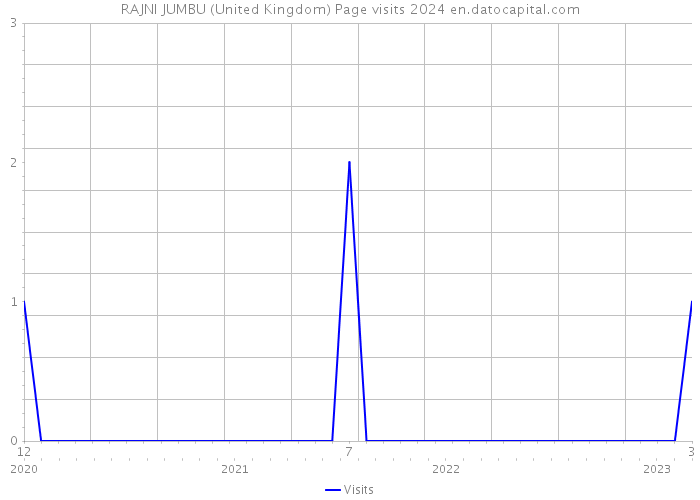 RAJNI JUMBU (United Kingdom) Page visits 2024 