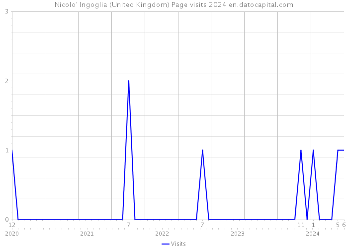 Nicolo' Ingoglia (United Kingdom) Page visits 2024 