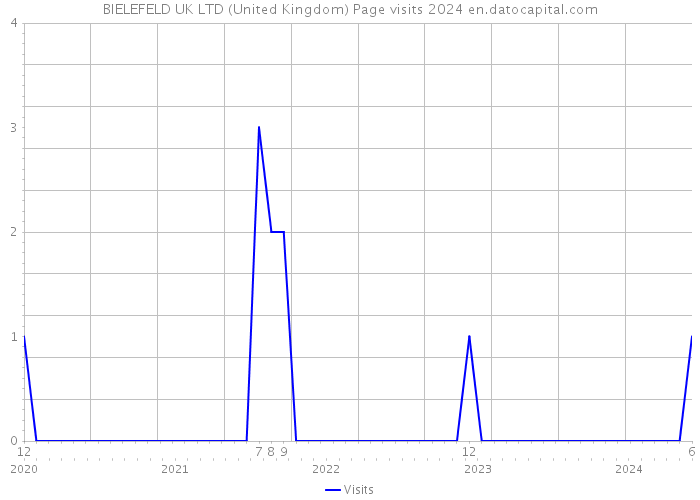 BIELEFELD UK LTD (United Kingdom) Page visits 2024 