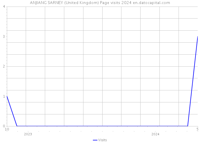 ANJIANG SARNEY (United Kingdom) Page visits 2024 
