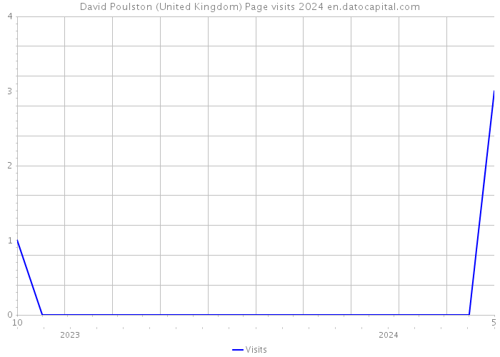 David Poulston (United Kingdom) Page visits 2024 