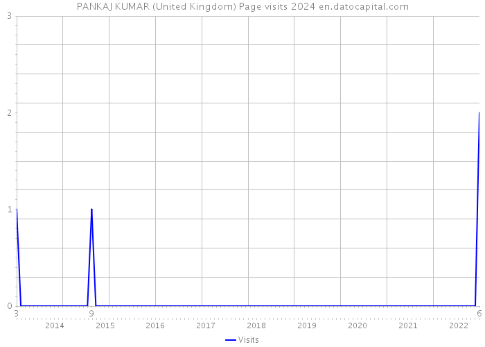 PANKAJ KUMAR (United Kingdom) Page visits 2024 