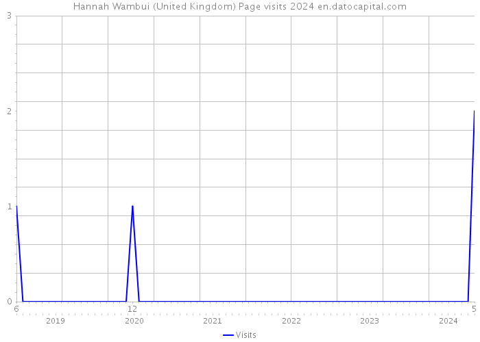 Hannah Wambui (United Kingdom) Page visits 2024 