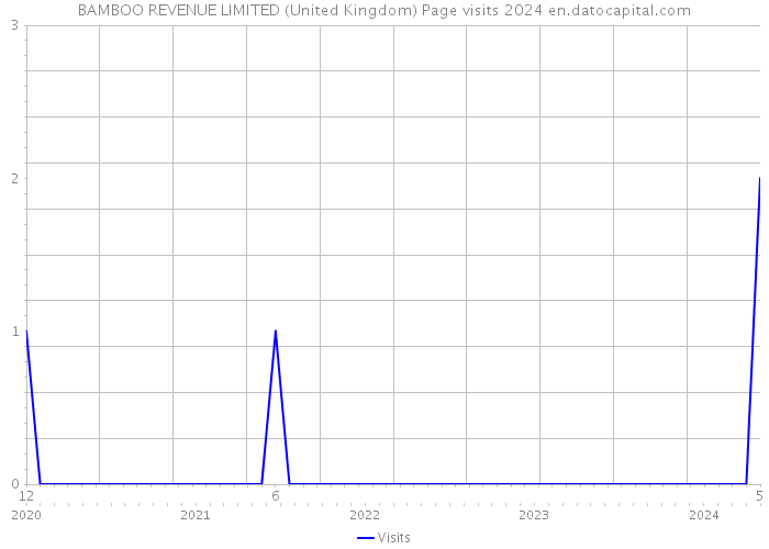 BAMBOO REVENUE LIMITED (United Kingdom) Page visits 2024 