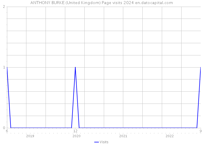 ANTHONY BURKE (United Kingdom) Page visits 2024 