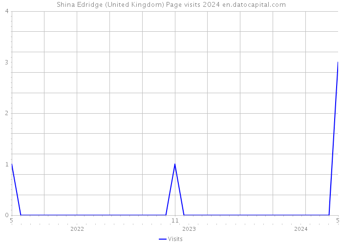Shina Edridge (United Kingdom) Page visits 2024 