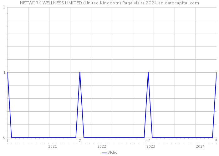 NETWORK WELLNESS LIMITED (United Kingdom) Page visits 2024 