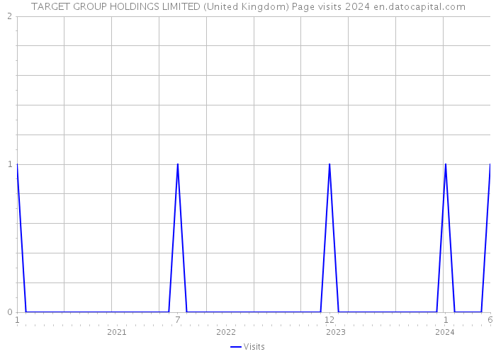 TARGET GROUP HOLDINGS LIMITED (United Kingdom) Page visits 2024 