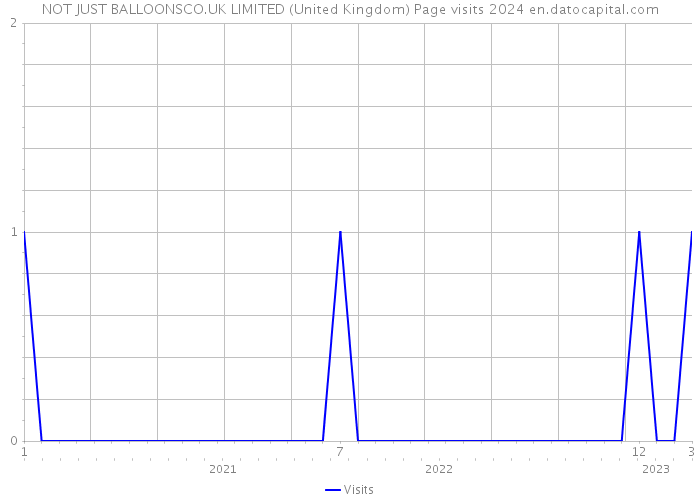 NOT JUST BALLOONSCO.UK LIMITED (United Kingdom) Page visits 2024 