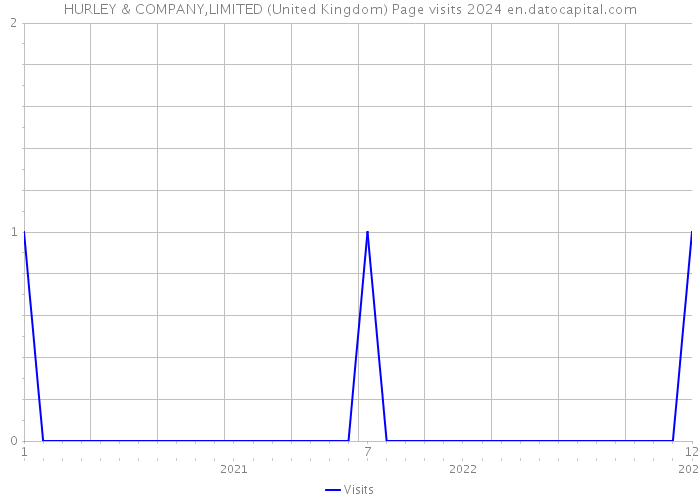 HURLEY & COMPANY,LIMITED (United Kingdom) Page visits 2024 