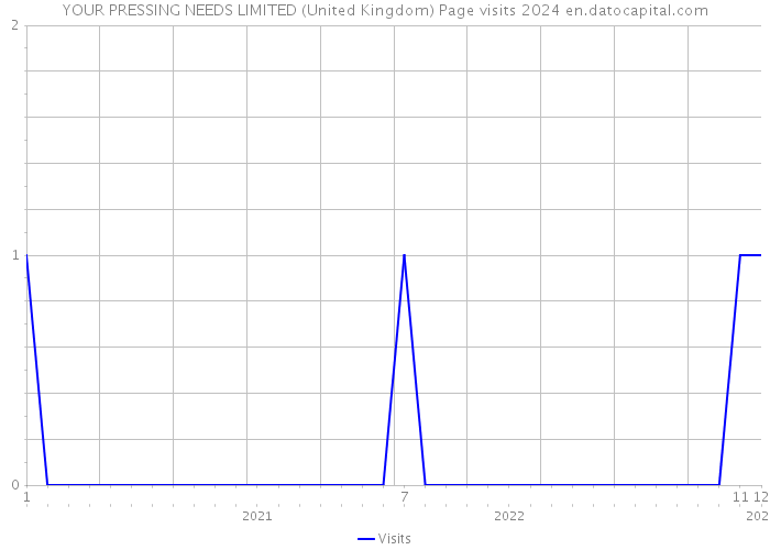 YOUR PRESSING NEEDS LIMITED (United Kingdom) Page visits 2024 