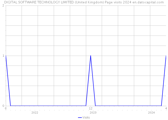 DIGITAL SOFTWARE TECHNOLOGY LIMITED (United Kingdom) Page visits 2024 
