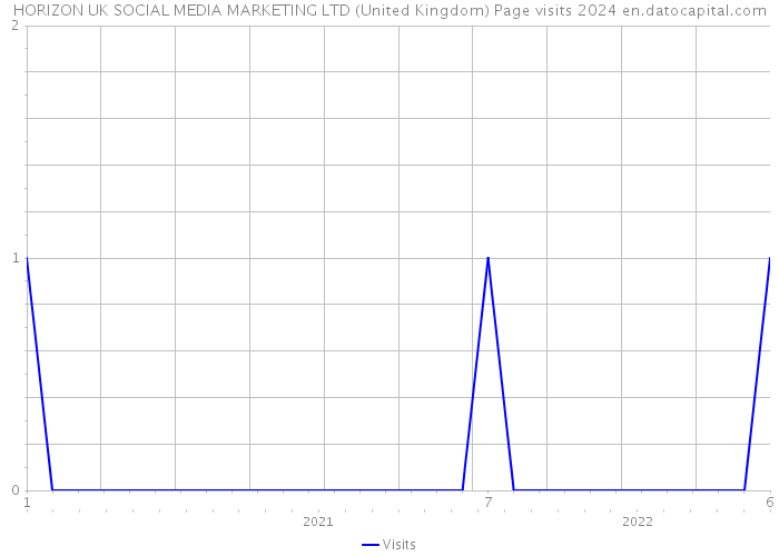HORIZON UK SOCIAL MEDIA MARKETING LTD (United Kingdom) Page visits 2024 