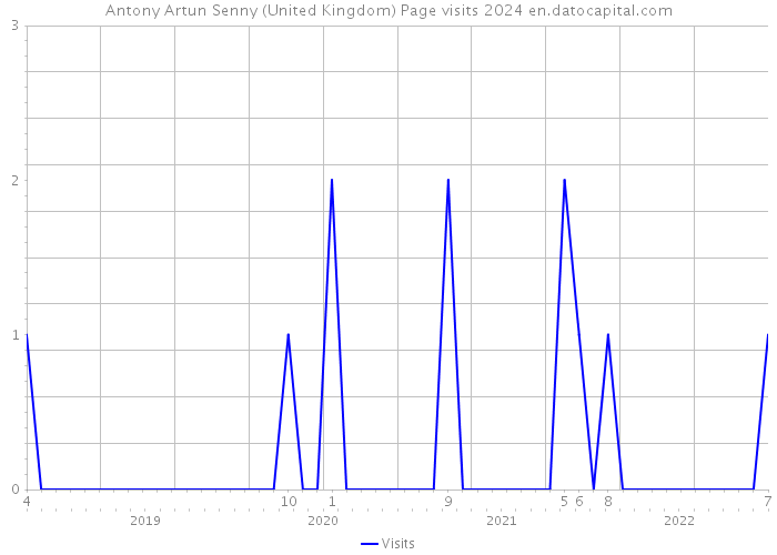 Antony Artun Senny (United Kingdom) Page visits 2024 