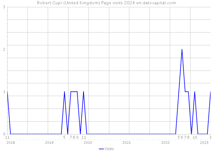 Robert Cupi (United Kingdom) Page visits 2024 