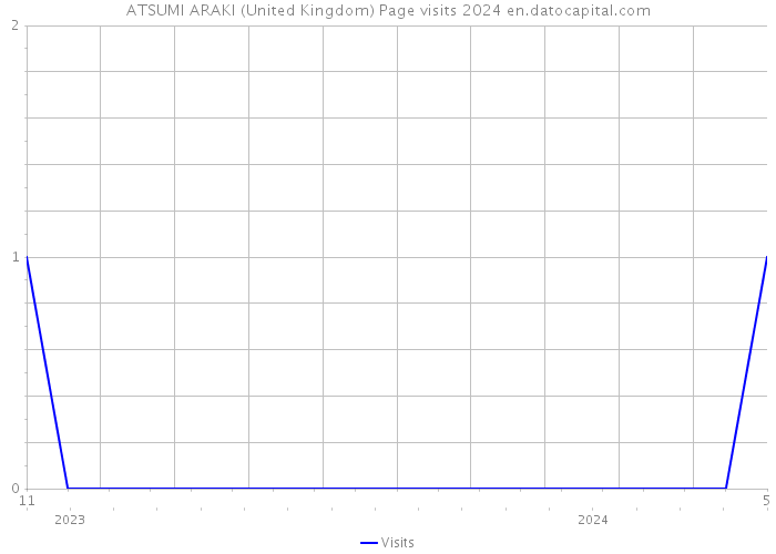 ATSUMI ARAKI (United Kingdom) Page visits 2024 