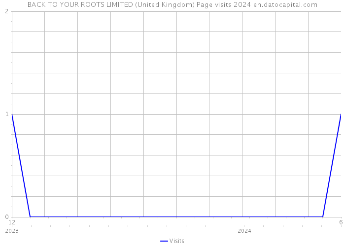 BACK TO YOUR ROOTS LIMITED (United Kingdom) Page visits 2024 