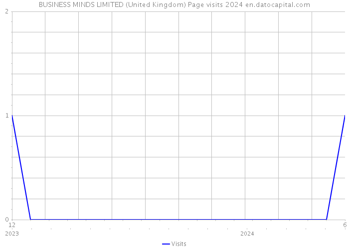 BUSINESS MINDS LIMITED (United Kingdom) Page visits 2024 