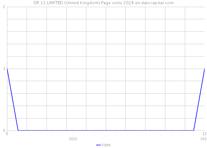DR 11 LIMITED (United Kingdom) Page visits 2024 