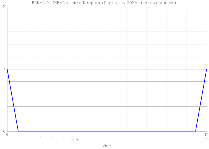 ERKAN YILDIRAN (United Kingdom) Page visits 2024 