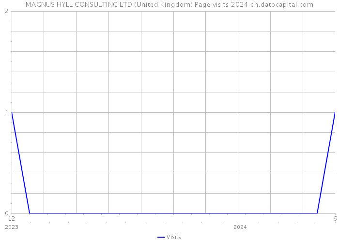 MAGNUS HYLL CONSULTING LTD (United Kingdom) Page visits 2024 