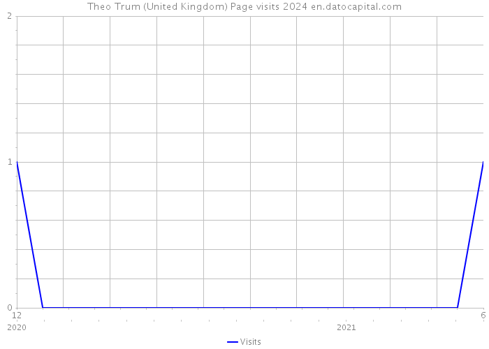 Theo Trum (United Kingdom) Page visits 2024 