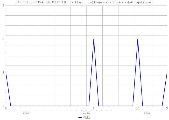 ROBERT PERCIVAL BRUGNOLI (United Kingdom) Page visits 2024 