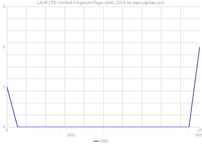 LAUR LTD (United Kingdom) Page visits 2024 