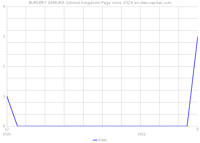 BURKERY SAMURA (United Kingdom) Page visits 2024 