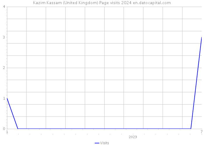 Kazim Kassam (United Kingdom) Page visits 2024 