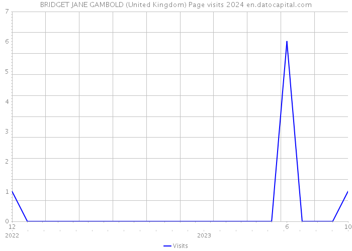 BRIDGET JANE GAMBOLD (United Kingdom) Page visits 2024 