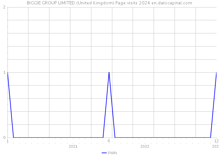 BIGGIE GROUP LIMITED (United Kingdom) Page visits 2024 
