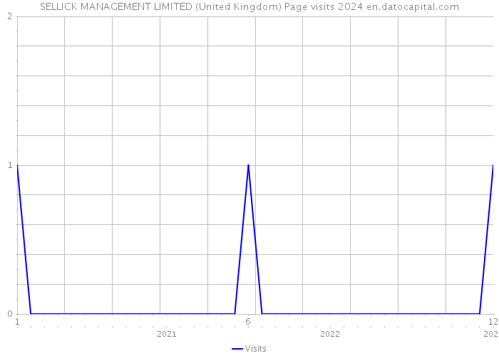 SELLICK MANAGEMENT LIMITED (United Kingdom) Page visits 2024 