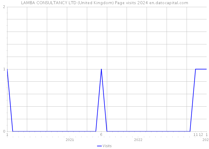 LAMBA CONSULTANCY LTD (United Kingdom) Page visits 2024 