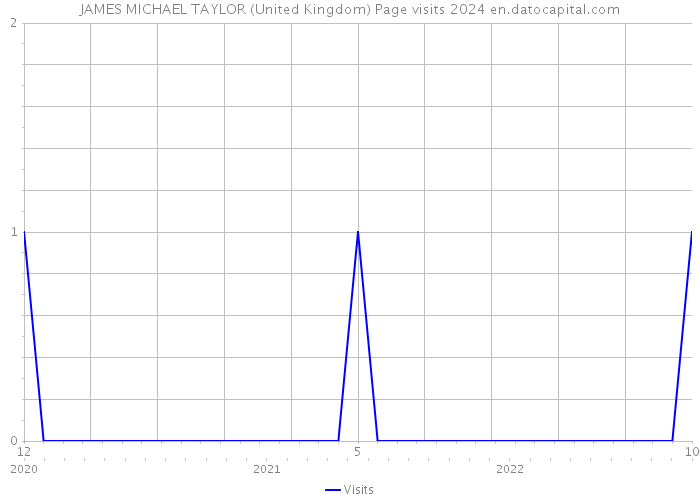 JAMES MICHAEL TAYLOR (United Kingdom) Page visits 2024 