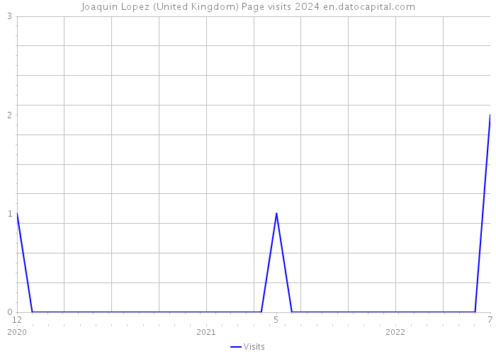 Joaquin Lopez (United Kingdom) Page visits 2024 