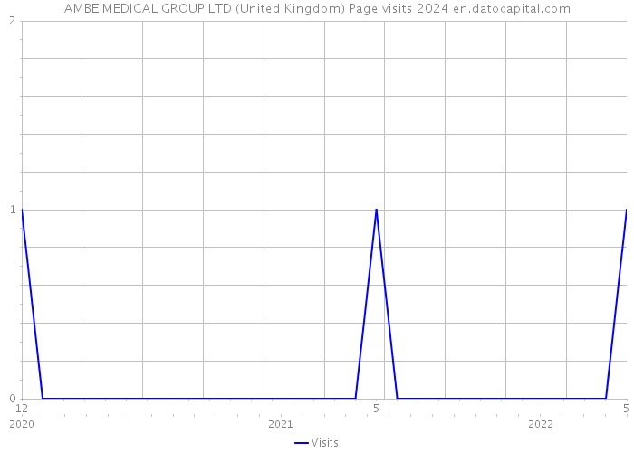 AMBE MEDICAL GROUP LTD (United Kingdom) Page visits 2024 