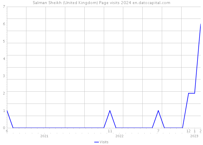 Salman Sheikh (United Kingdom) Page visits 2024 