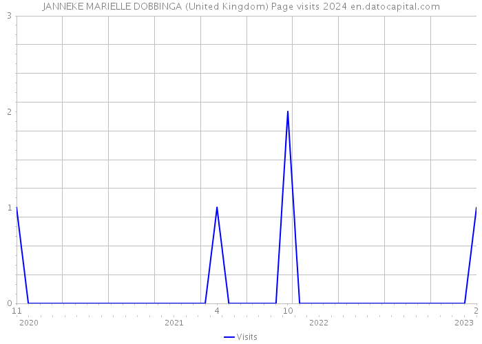 JANNEKE MARIELLE DOBBINGA (United Kingdom) Page visits 2024 