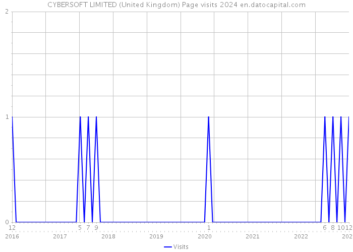CYBERSOFT LIMITED (United Kingdom) Page visits 2024 