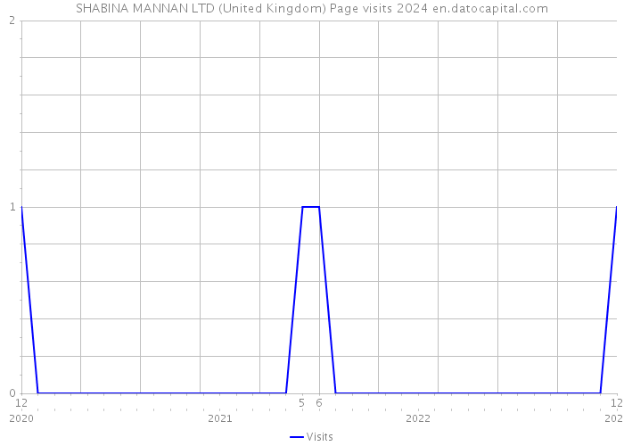 SHABINA MANNAN LTD (United Kingdom) Page visits 2024 