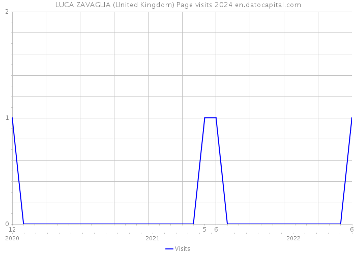 LUCA ZAVAGLIA (United Kingdom) Page visits 2024 