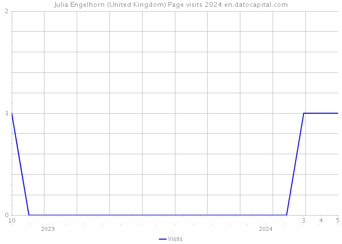 Julia Engelhorn (United Kingdom) Page visits 2024 