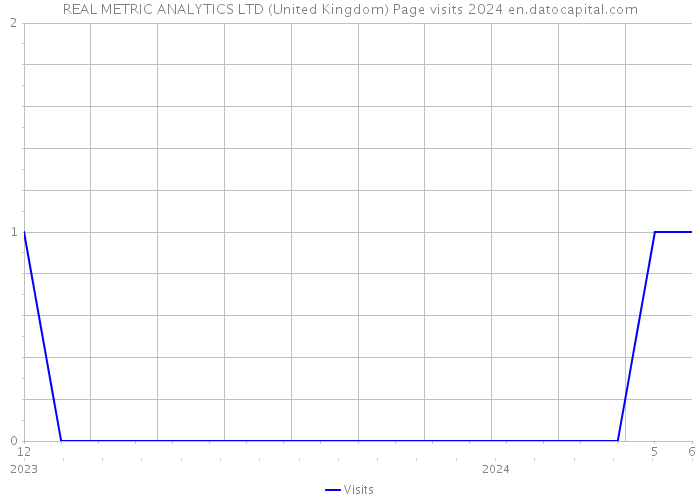 REAL METRIC ANALYTICS LTD (United Kingdom) Page visits 2024 