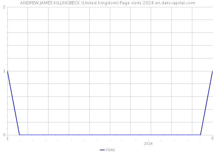 ANDREW JAMES KILLINGBECK (United Kingdom) Page visits 2024 
