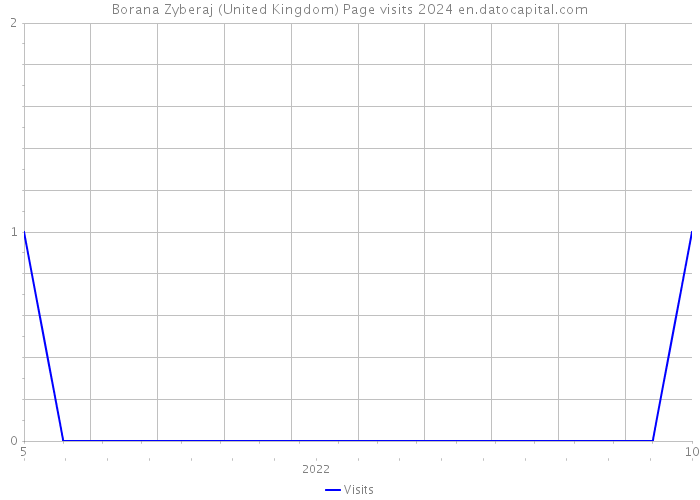 Borana Zyberaj (United Kingdom) Page visits 2024 