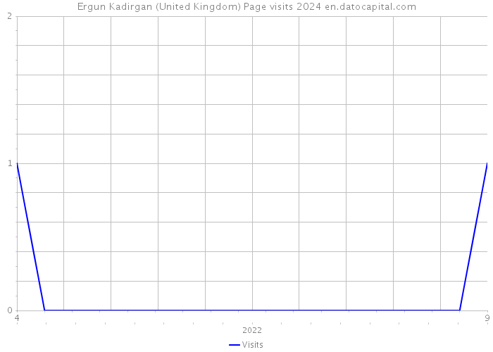 Ergun Kadirgan (United Kingdom) Page visits 2024 