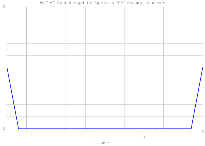 HUY HO (United Kingdom) Page visits 2024 