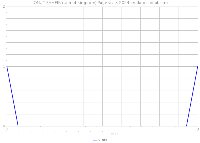IONUT ZAMFIR (United Kingdom) Page visits 2024 