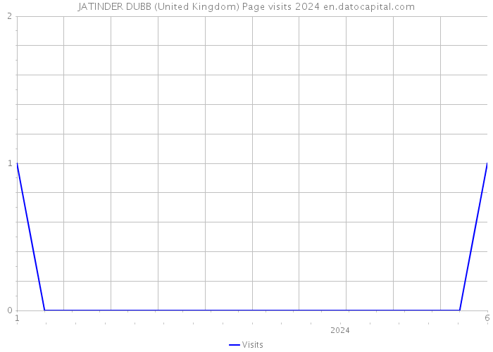 JATINDER DUBB (United Kingdom) Page visits 2024 